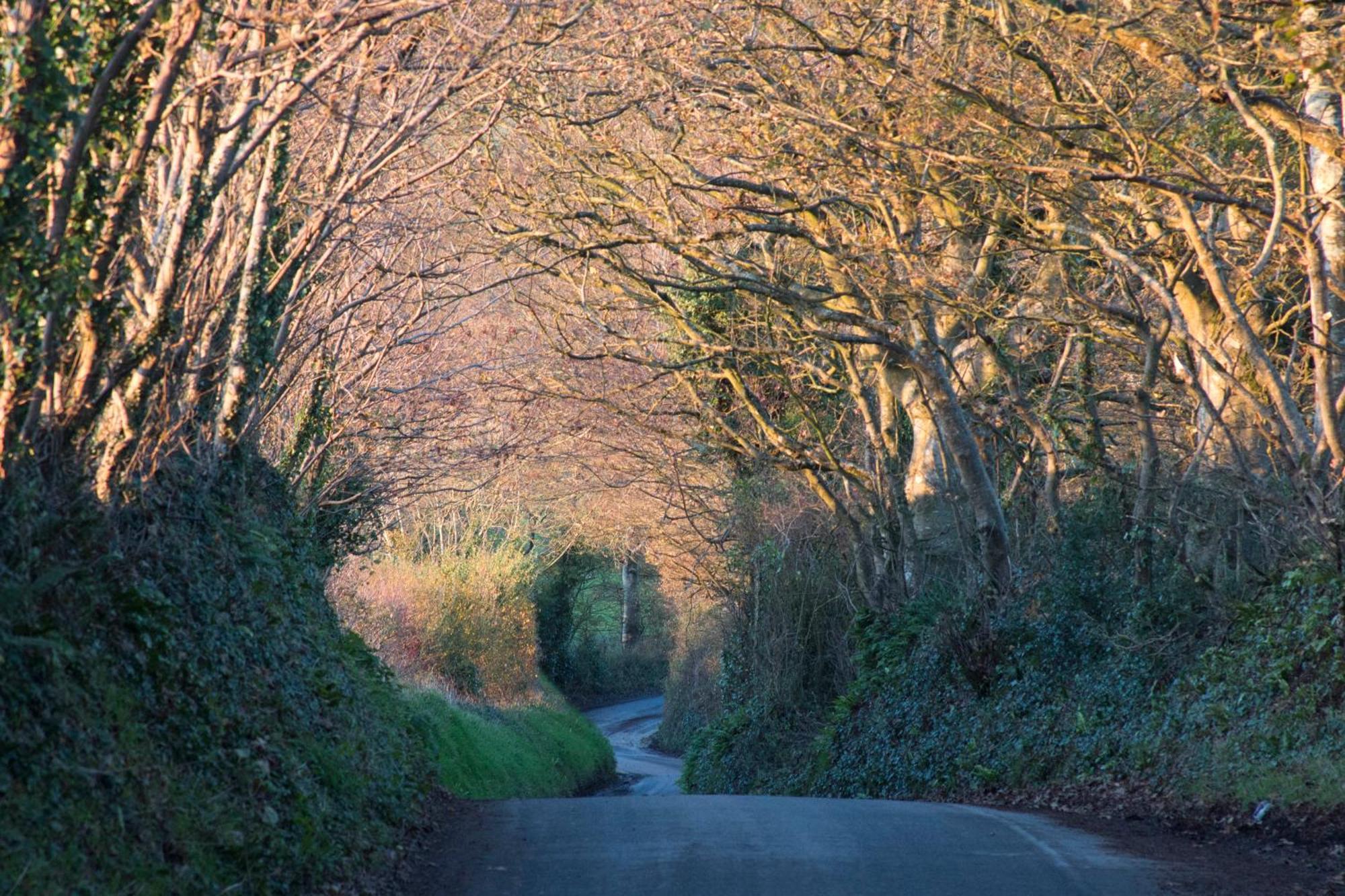 St Kew Escapes Nr Port Isaac Bed & Breakfast Saint Kew Room photo