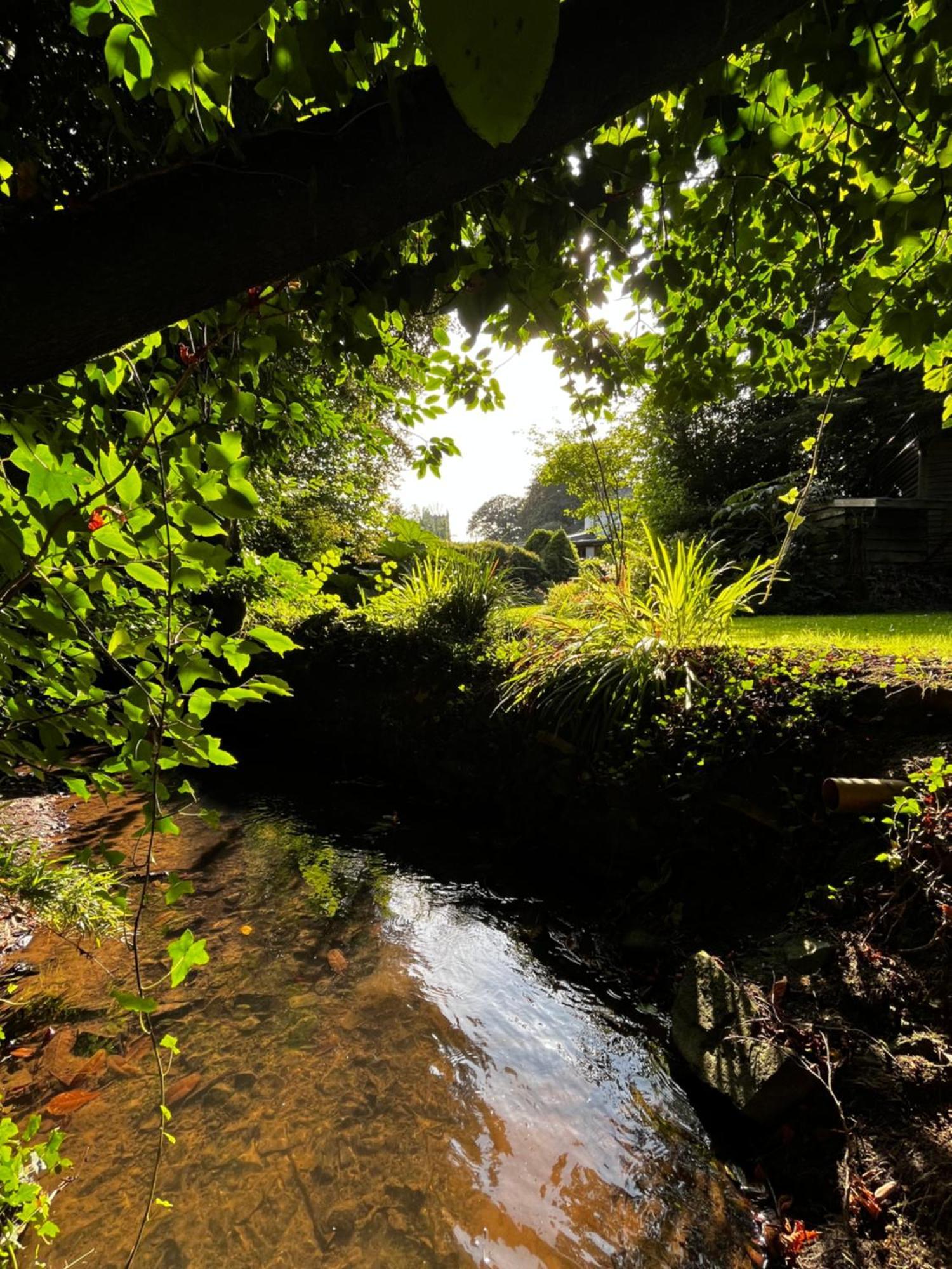 St Kew Escapes Nr Port Isaac Bed & Breakfast Saint Kew Exterior photo